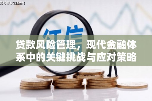 西固贷款风险管理，现代金融体系中的关键挑战与应对策略