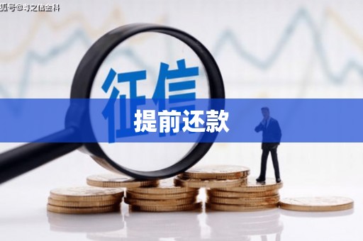 西固提前还款