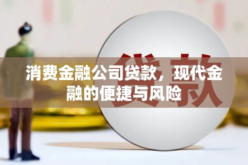 西固消费金融公司贷款，现代金融的便捷与风险