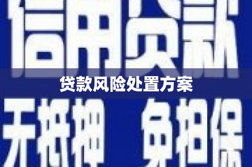 西固贷款风险处置方案